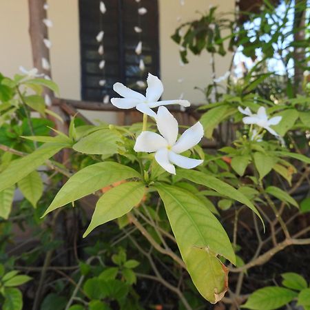 جامبياني Stonefish Inn Jambiani المظهر الخارجي الصورة
