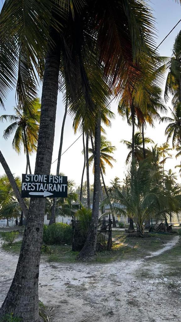 جامبياني Stonefish Inn Jambiani المظهر الخارجي الصورة