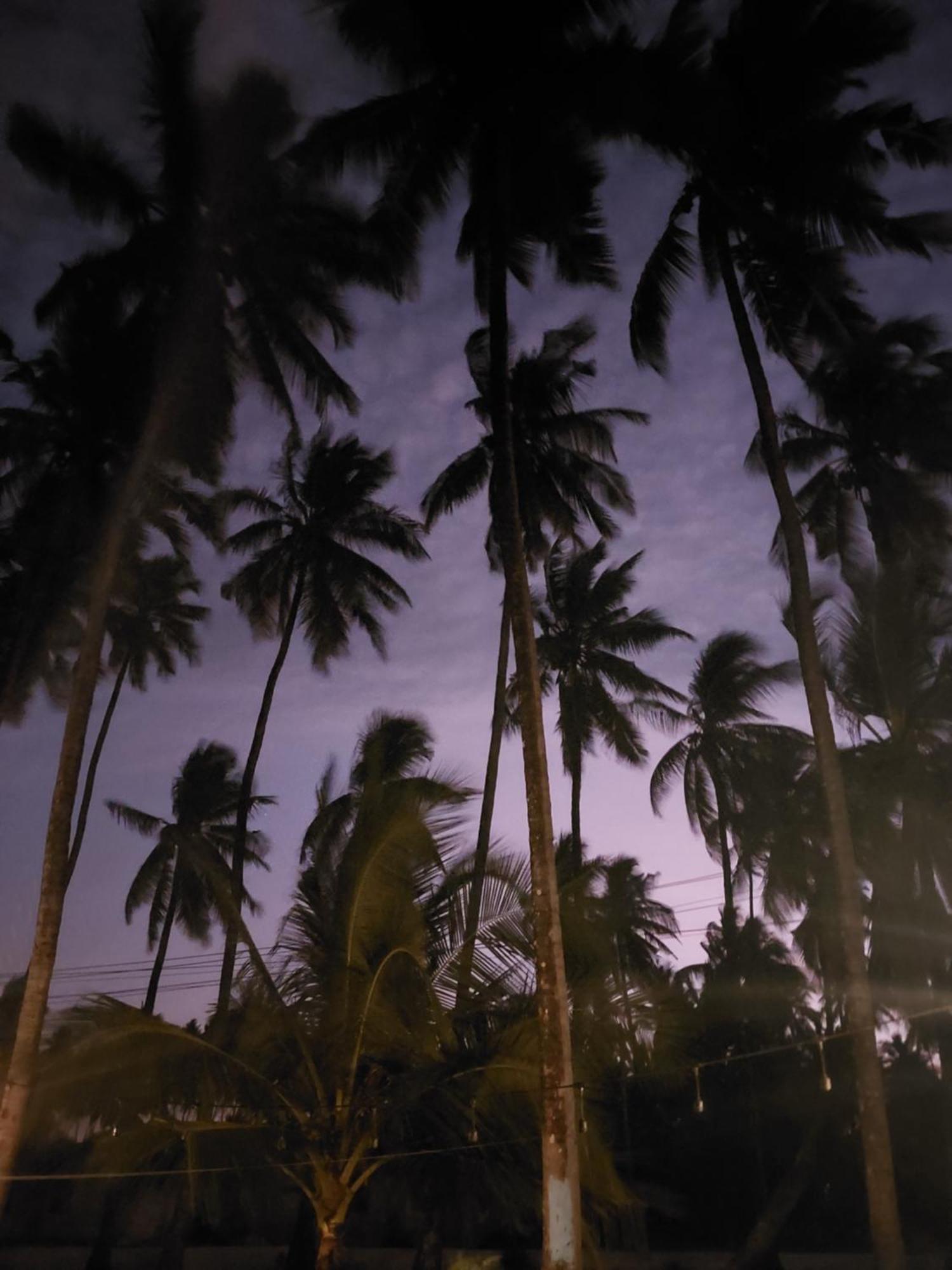 جامبياني Stonefish Inn Jambiani المظهر الخارجي الصورة